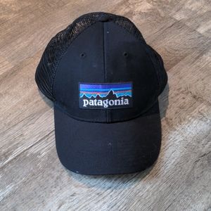 Patagonia Trucker hat